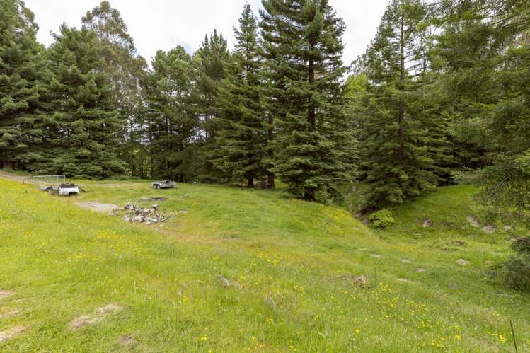 491 State Highway Five Wairakei_20