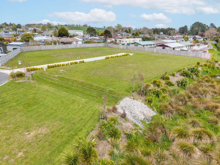 Scotia Glen Street Putaruru_6