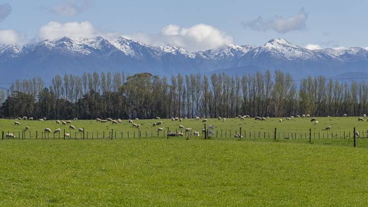 Lot 1, Lot 2 Cornwall Road East Taratahi_13