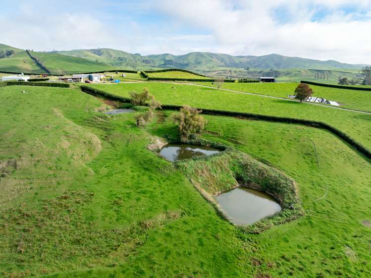 376 Starkey Road Morrinsville_15