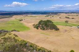 Former dairy farm could be converted to avocado orchard