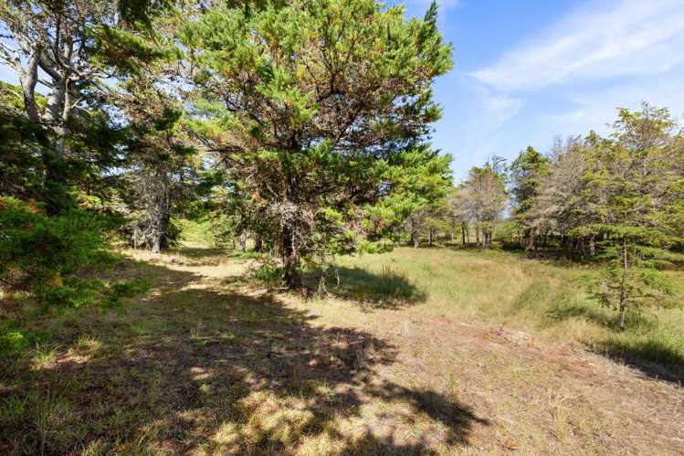 347a Black Swamp Road Mangawhai_24