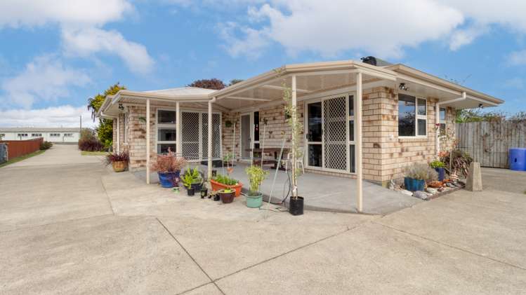 1151 Matata Road Edgecumbe_5