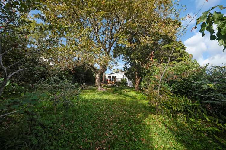 117 Hutchinson Avenue New Lynn_21