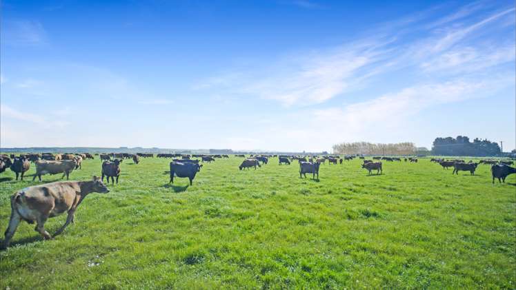 120 Steward Road Richmond_5