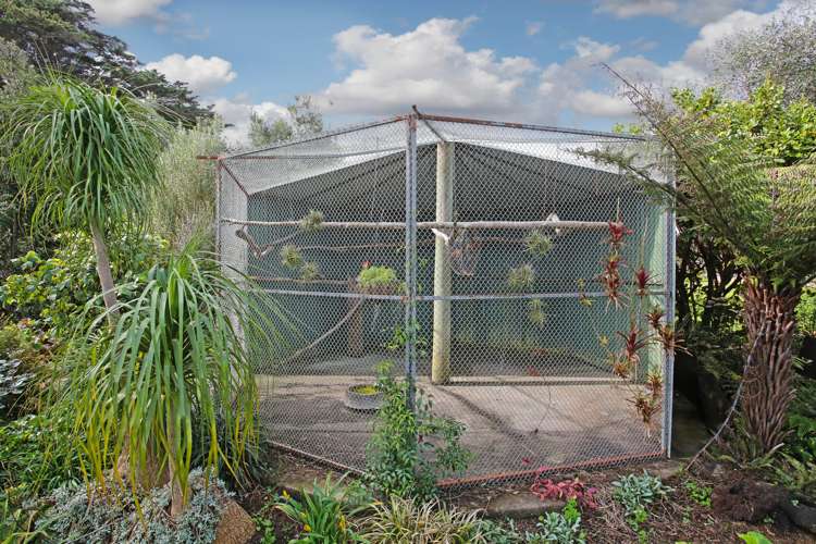 1241 Awhitu Road Pollok_15