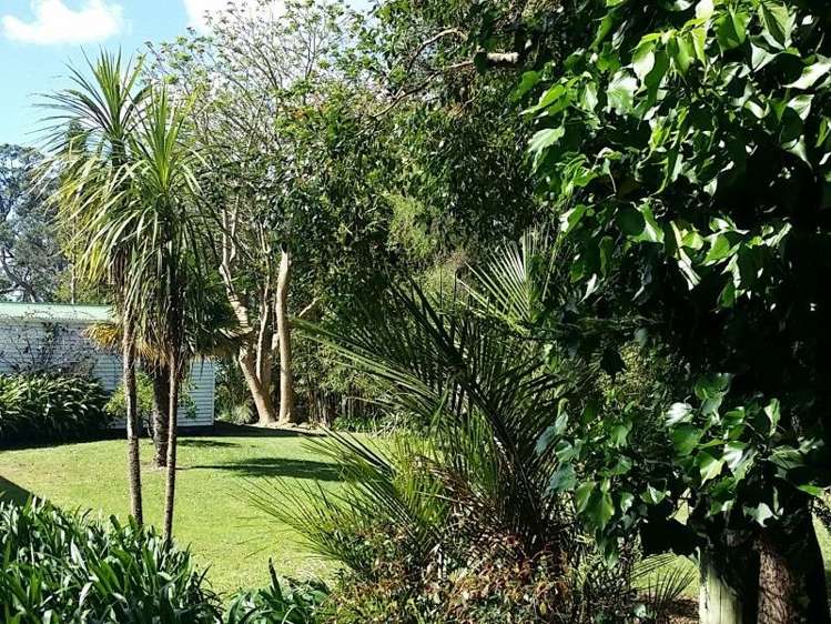 71 Buckleton Road Tawharanui Peninsula_5