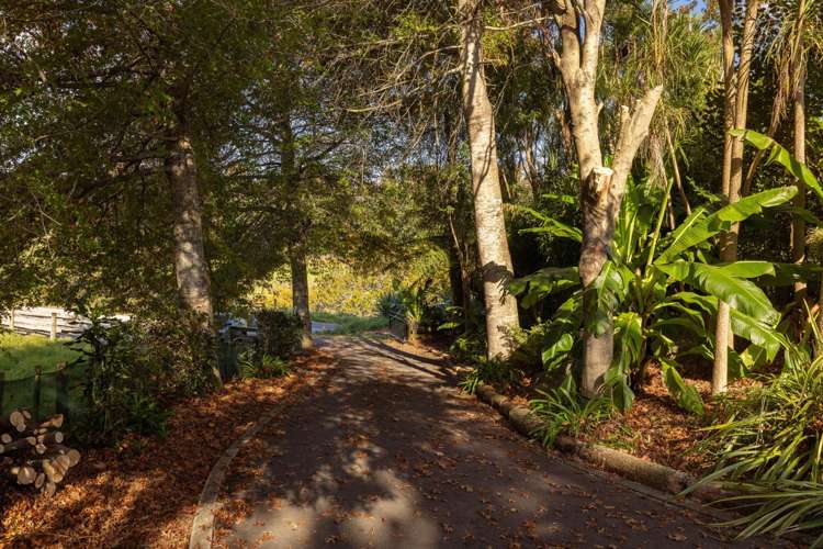 135A McLaren Falls Road Lower Kaimai_44