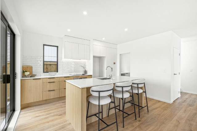 19 Karamu Street Flat Bush_4