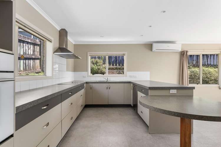 455B Fraser Street Parkvale_5