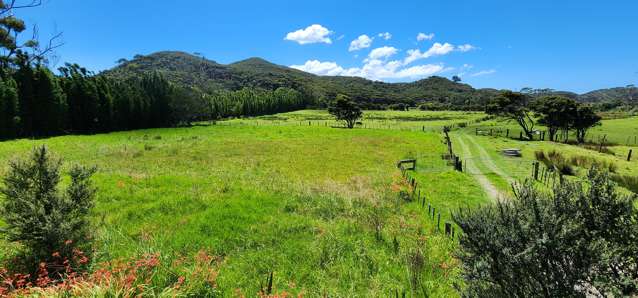 54 Mason Road Great Barrier Island (Aotea Island)_2