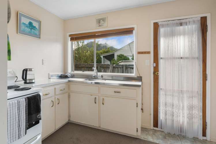 104a Lowe Avenue Thames_5