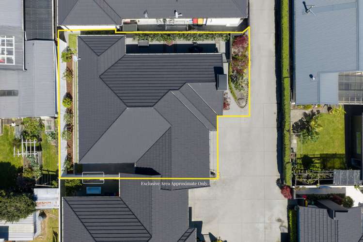 175A Carrington Street Lower Vogeltown_37