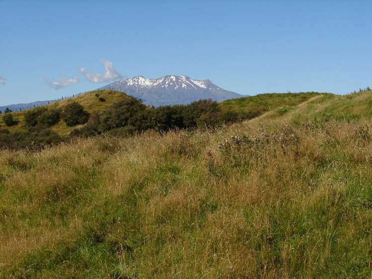 839 Ruatiti Road Raetihi_15