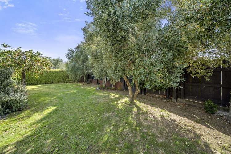 33 Broadway Street Martinborough_15