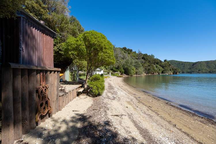 Port Underwood Road Port Underwood_7