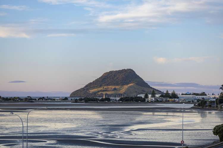 5/115 Fourth Avenue Tauranga Central_24