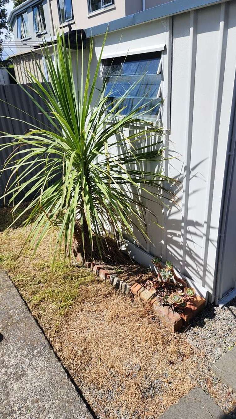 13 Toru Street Lyall Bay_18