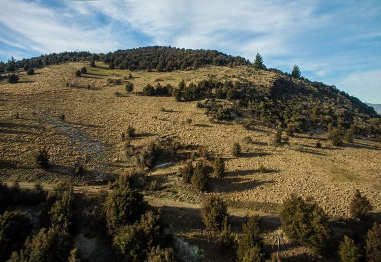 705 Aubrey Road Albert Town_6