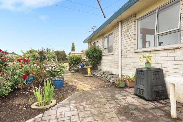 73a Links Avenue Mount Maunganui_3