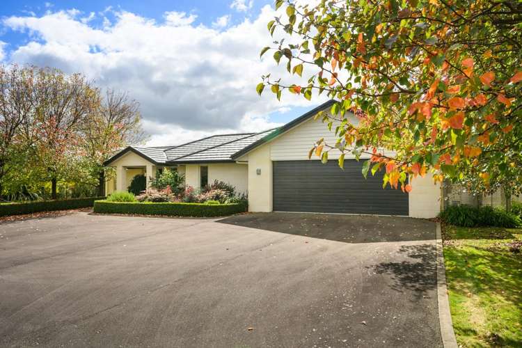 105 Pharazyn Street Feilding_7