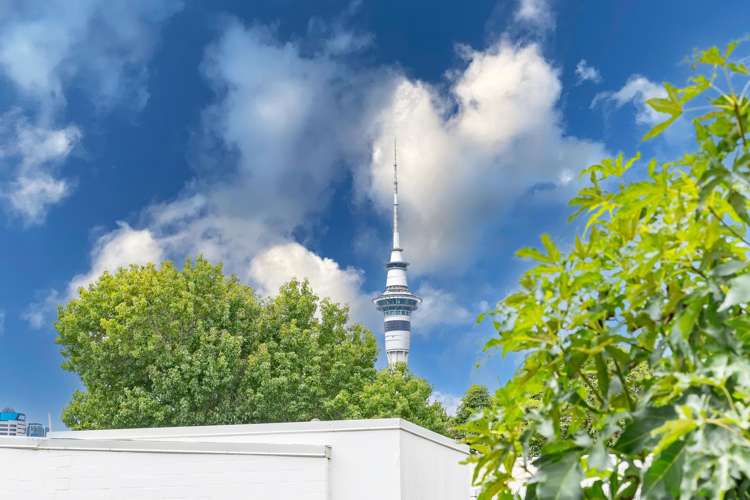 2 Telpher Street Freemans Bay_5