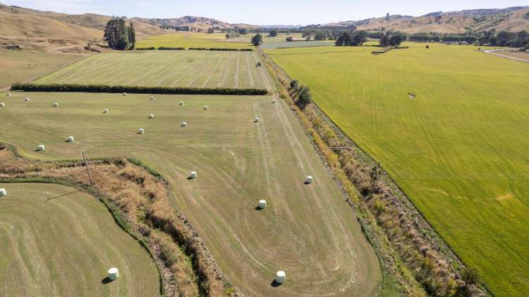 1231 Longbush Road Carterton_9