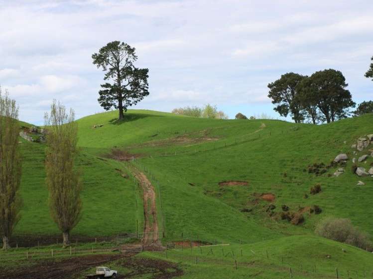 196 Hildreth Road Arapuni_38