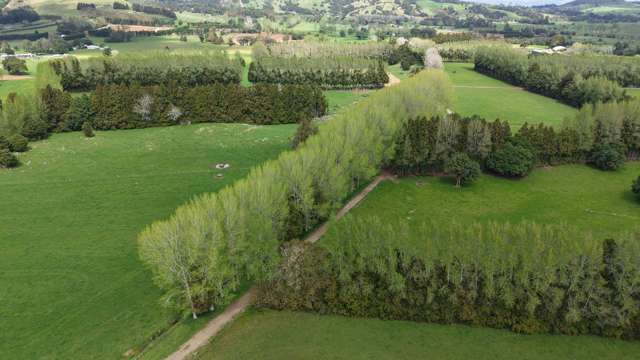 664 Te Pua Road Kaikohe_2