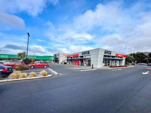 1005 Ferry Road Ferrymead_1