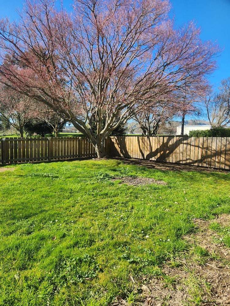 9 Panckhurst Street Havelock North_5
