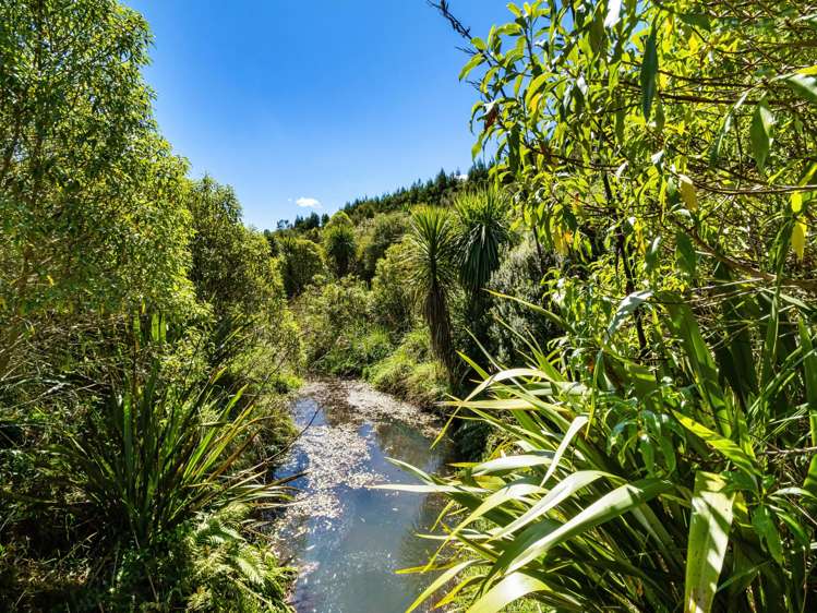 8 Pine Ridge Lane Aongatete_38