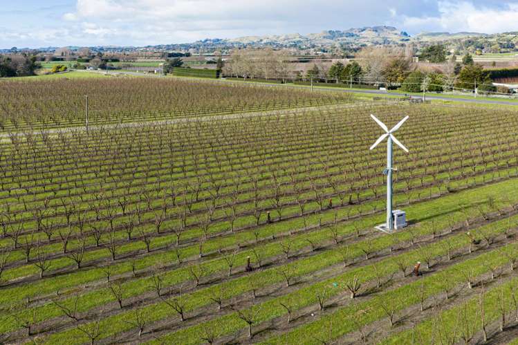 108 Mount Erin Road Havelock North_22