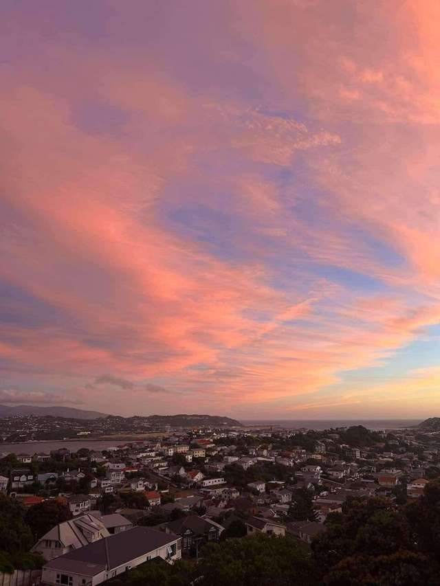 Charming 1BR Hataitai Haven w/ Stunning Views