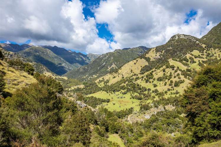 1180 Tyntesfield Road Waihopai Valley_29