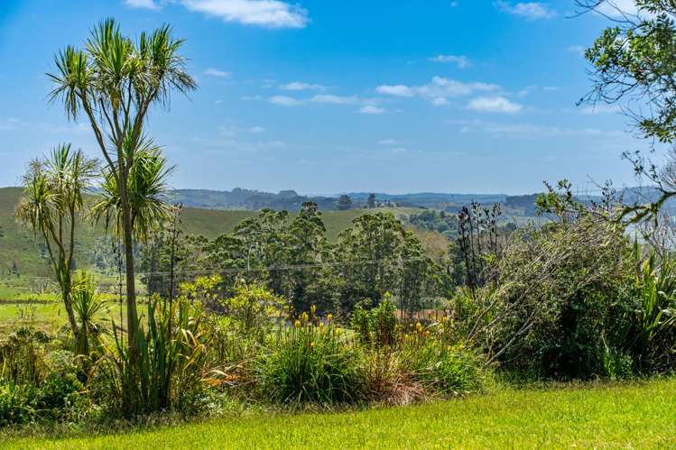 881 Whakapirau Road Whakapirau_32