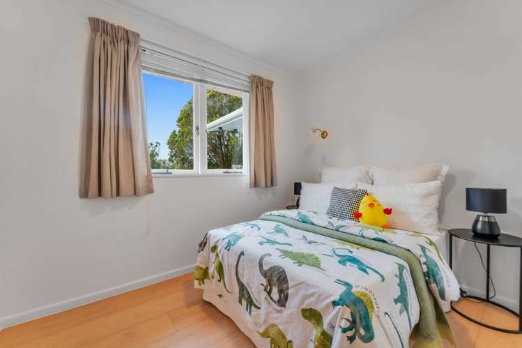 17 Kimber Hall Avenue Mt Roskill_8