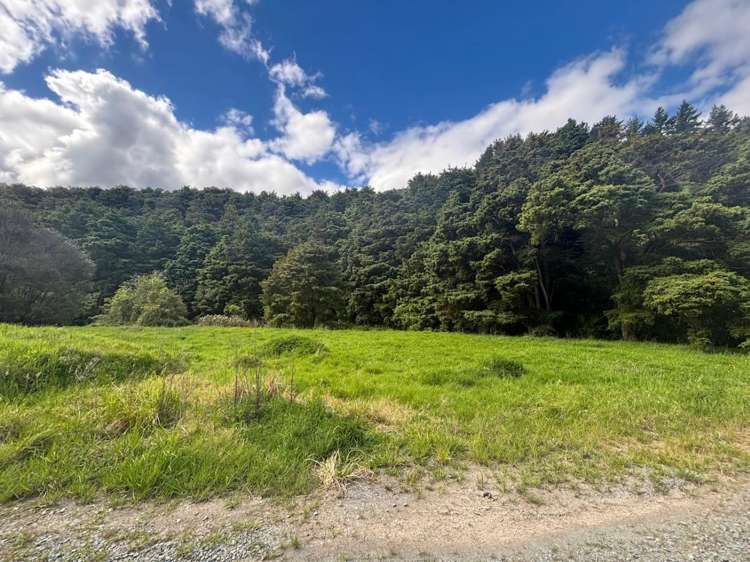 Mata Road Kohukohu_6