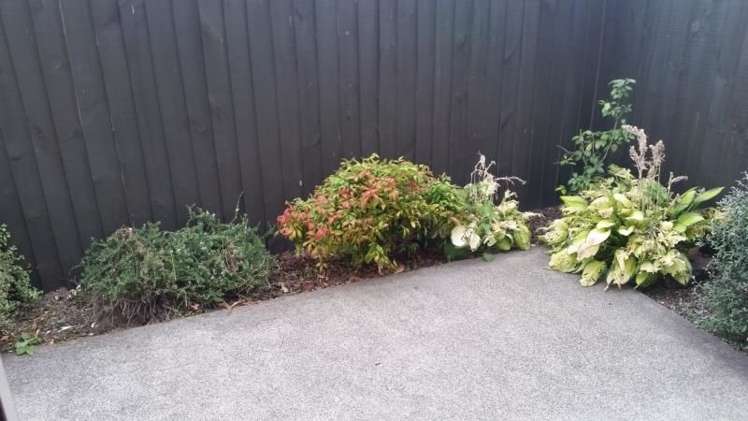 43a Hume Street Sydenham_7