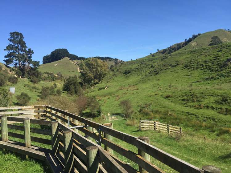 547 Papaiti Road Papaiti_12