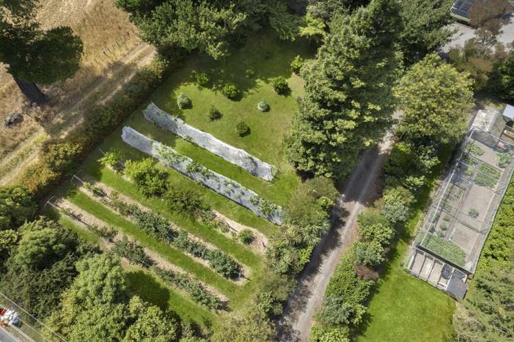 3378 State Highway 2 Carterton_22