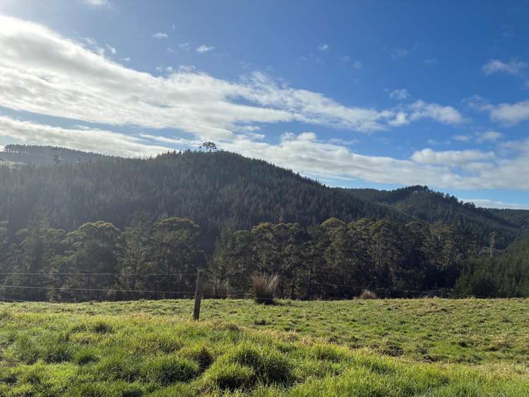 Milne Road Purua_7