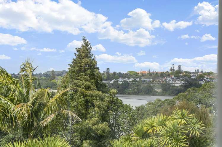 17 Papahia Street Parnell_26