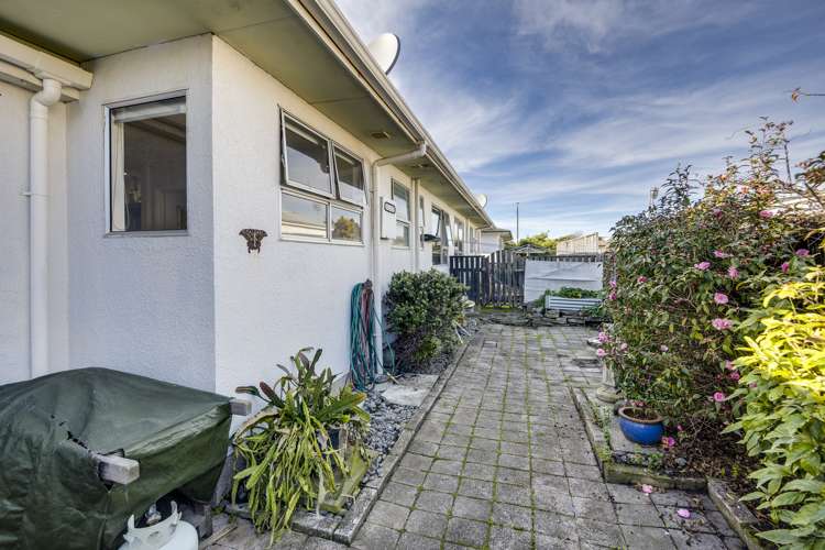 3/23 Latham Street Napier South_12