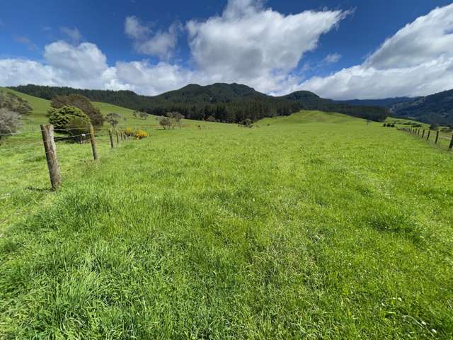 1642 Motueka Valley West Bank Road (Gateway and Lower Hilltop) Motueka Valley_4