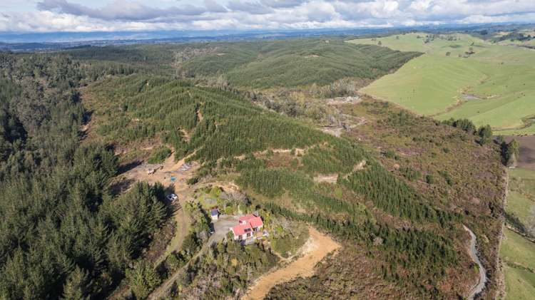 441 Waiwhero Road Ngatimoti_36