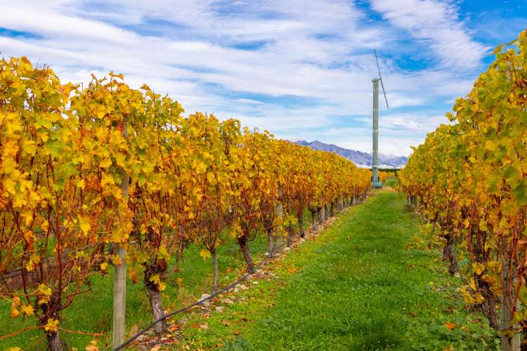 96 Shandon Road Waihopai Valley_7