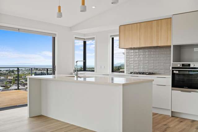 Lot 90 Hass Drive Ohauiti_2