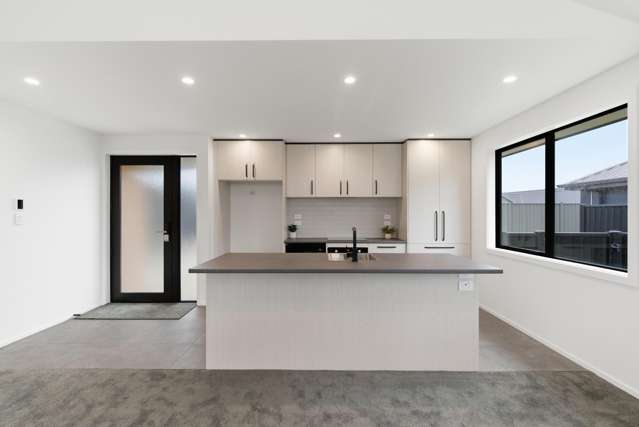 99 Hoffman Court Waikiwi_1