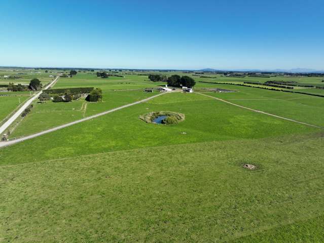 792 Rimu Road, Farm 4 Rimu_1
